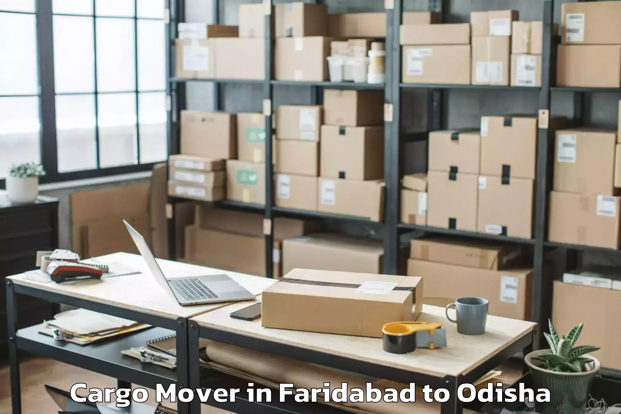 Book Faridabad to National Law University Odisha Cargo Mover Online